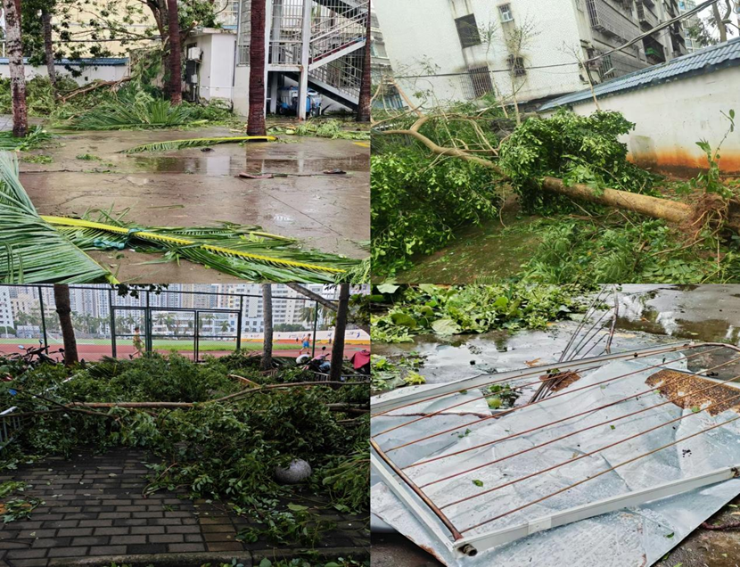 竞彩足球
教职工返校清理校园 做好灾后恢复工作