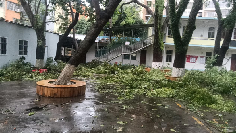 竞彩足球
教职工返校清理校园 做好灾后恢复工作