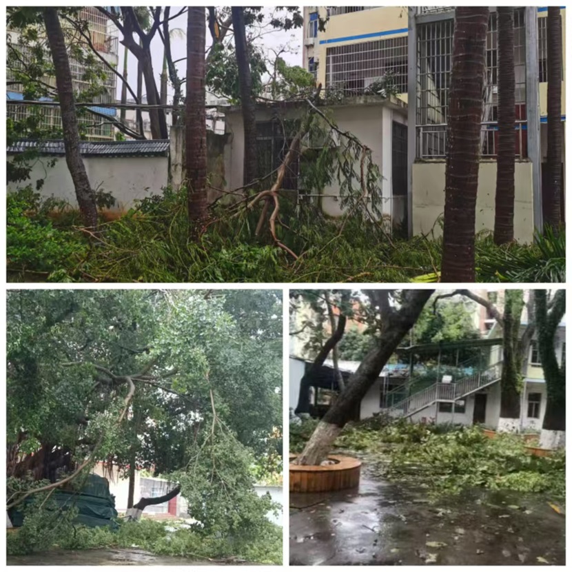 风雨过后,即是晴天:竞彩足球
人全力恢复校园正常秩序