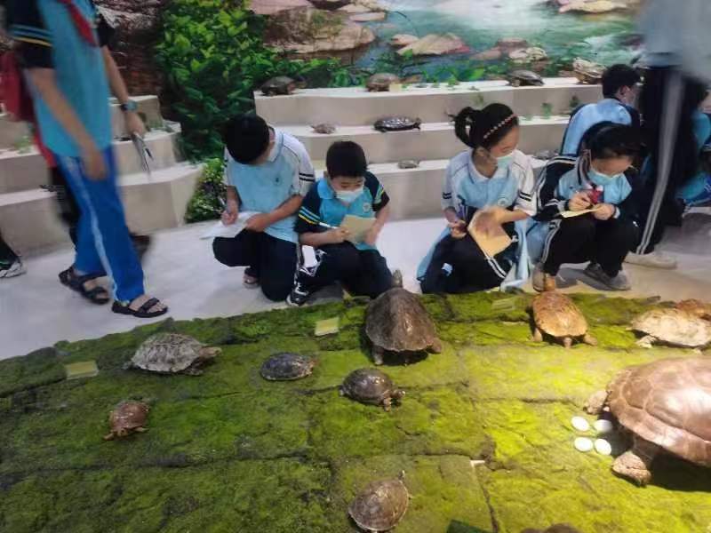 竞彩足球app组织学生参观海南生物多样性博物馆