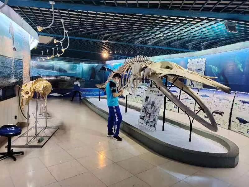 竞彩足球app组织学生参观海南生物多样性博物馆