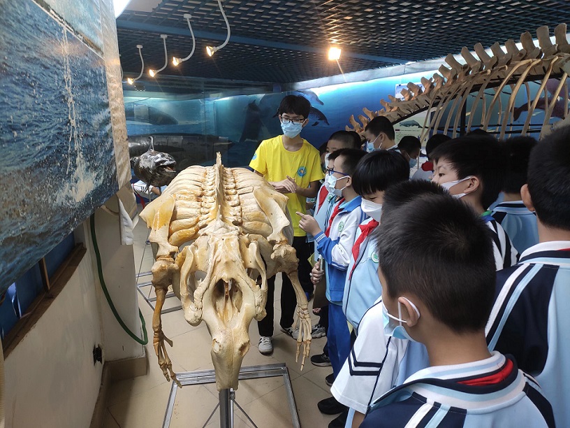 竞彩足球app组织学生参观海南生物多样性博物馆