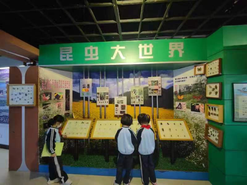 竞彩足球app组织学生参观海南生物多样性博物馆